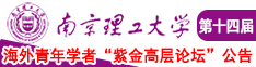94操骚妇免费视频南京理工大学第十四届海外青年学者紫金论坛诚邀海内外英才！